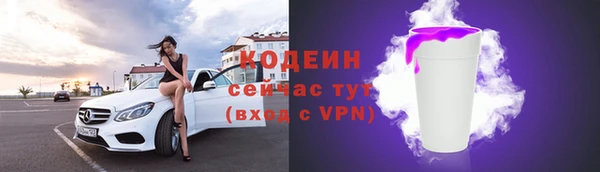 ПСИЛОЦИБИНОВЫЕ ГРИБЫ Михайлов