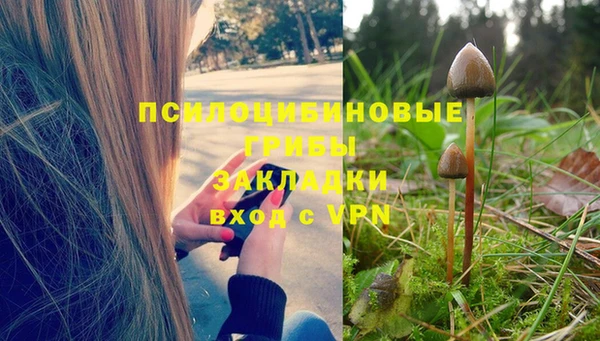 мдпв Балахна