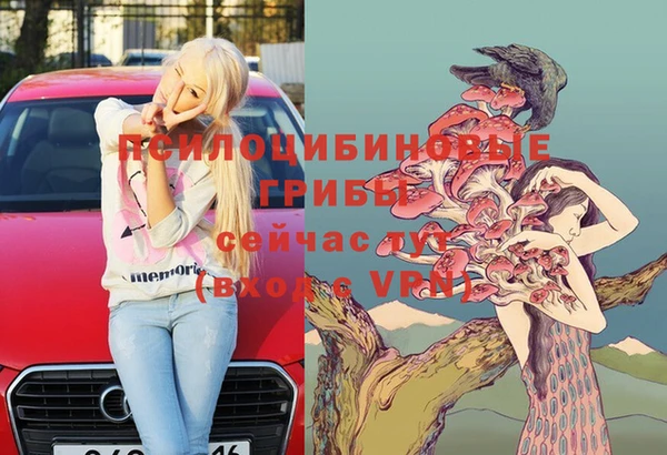 дурь Михайловка